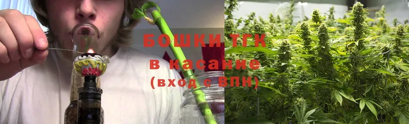 Бошки марихуана THC 21%  Невинномысск 